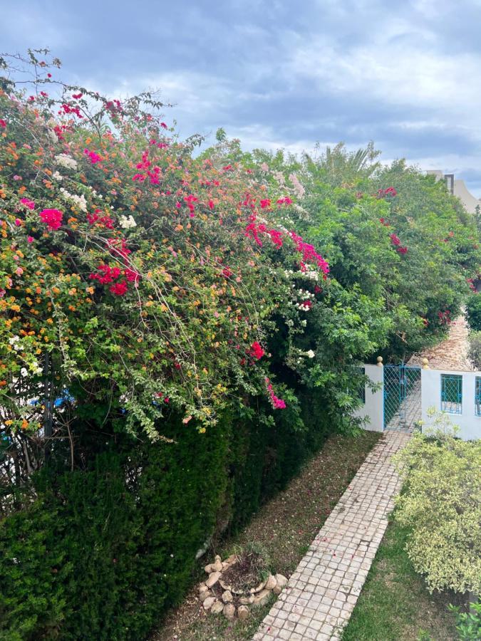 Appartement Rayhan Yasmine Hammamet Dış mekan fotoğraf